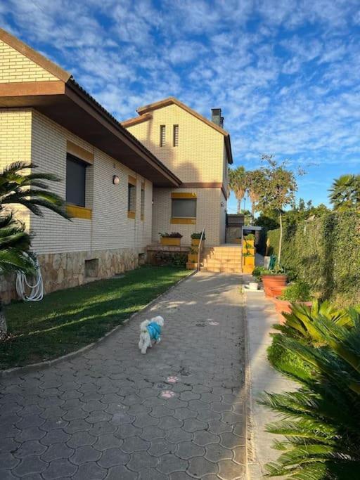 Casa Parra Βίλα Deltebre Εξωτερικό φωτογραφία