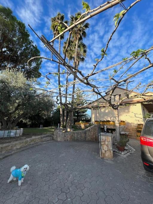 Casa Parra Βίλα Deltebre Εξωτερικό φωτογραφία
