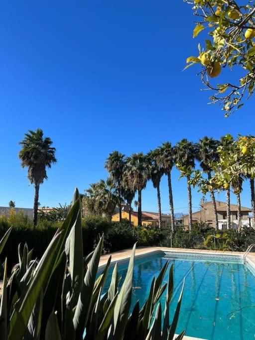 Casa Parra Βίλα Deltebre Εξωτερικό φωτογραφία